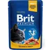 غذای گربه بریت مدل brit premium cat pouches with salmon & trout